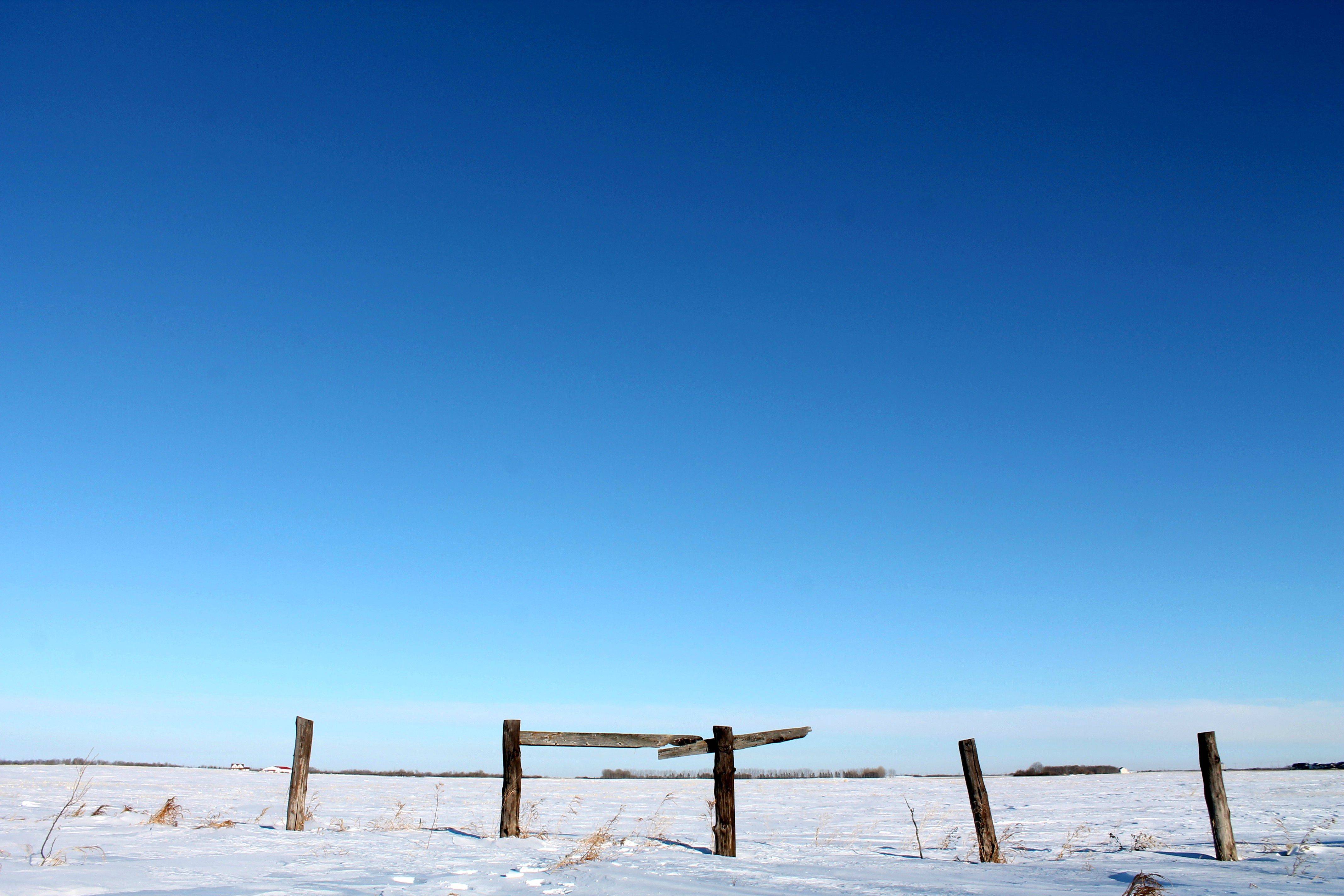 Saskatchewan Winter: wallpaper
