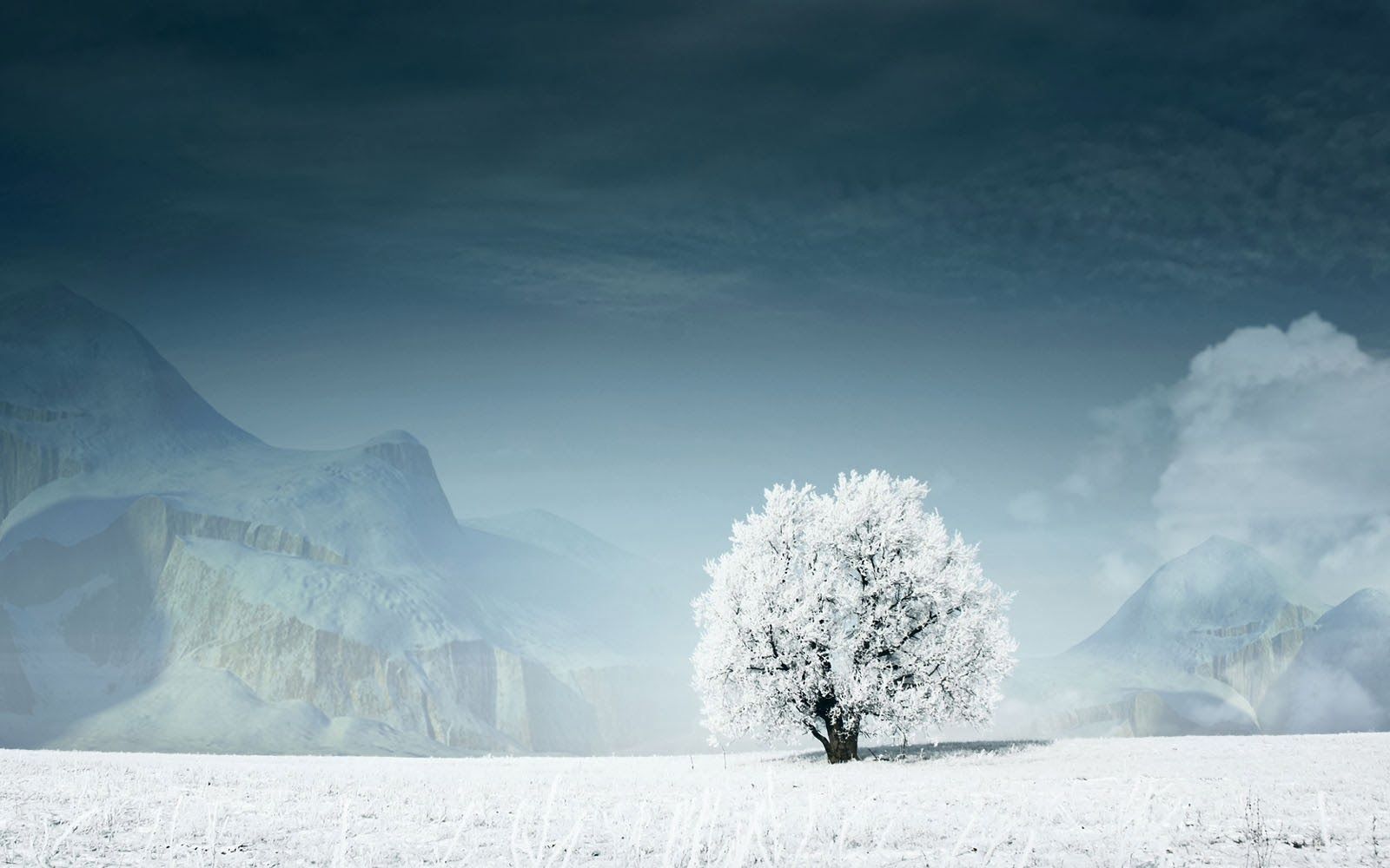 White Tree Snow Live Wallpaper - carrotapp