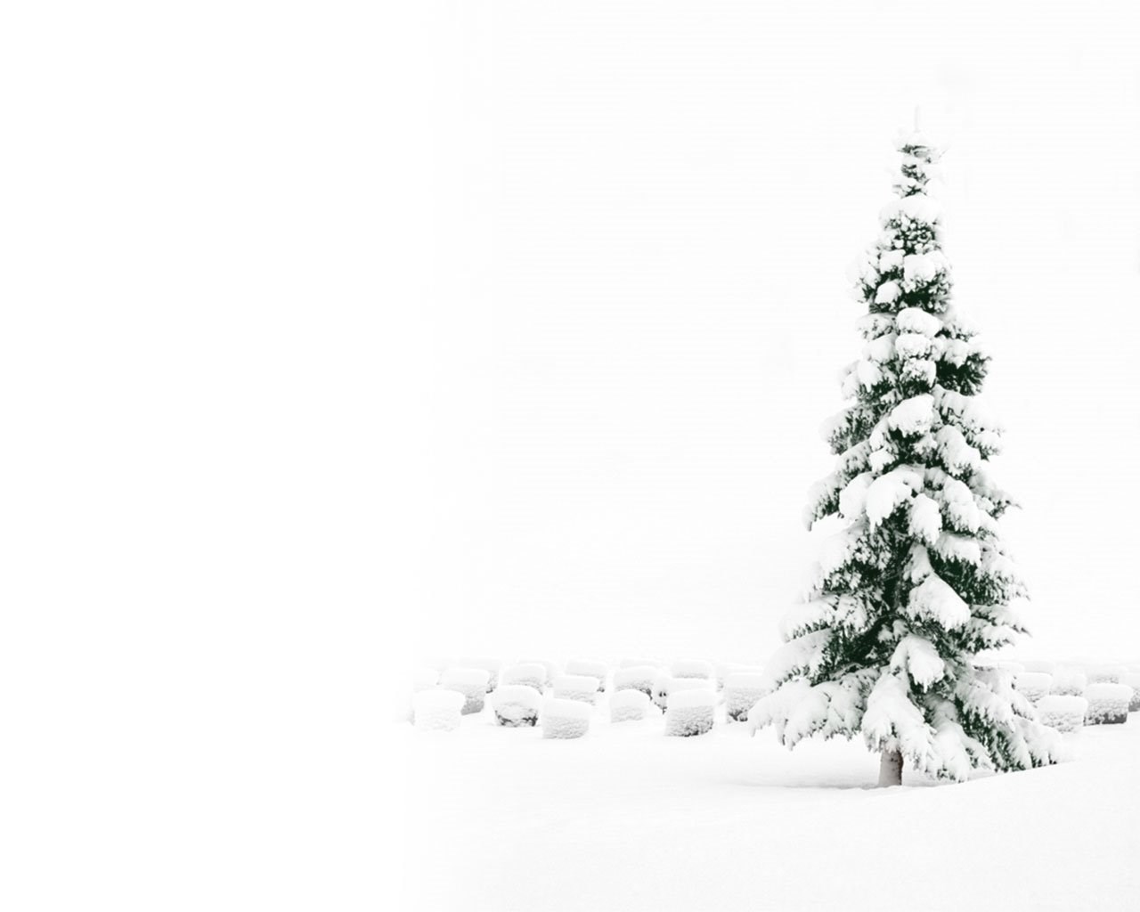 Christmas Snow Tree Wallpaper Wallpaper Desktop Background
