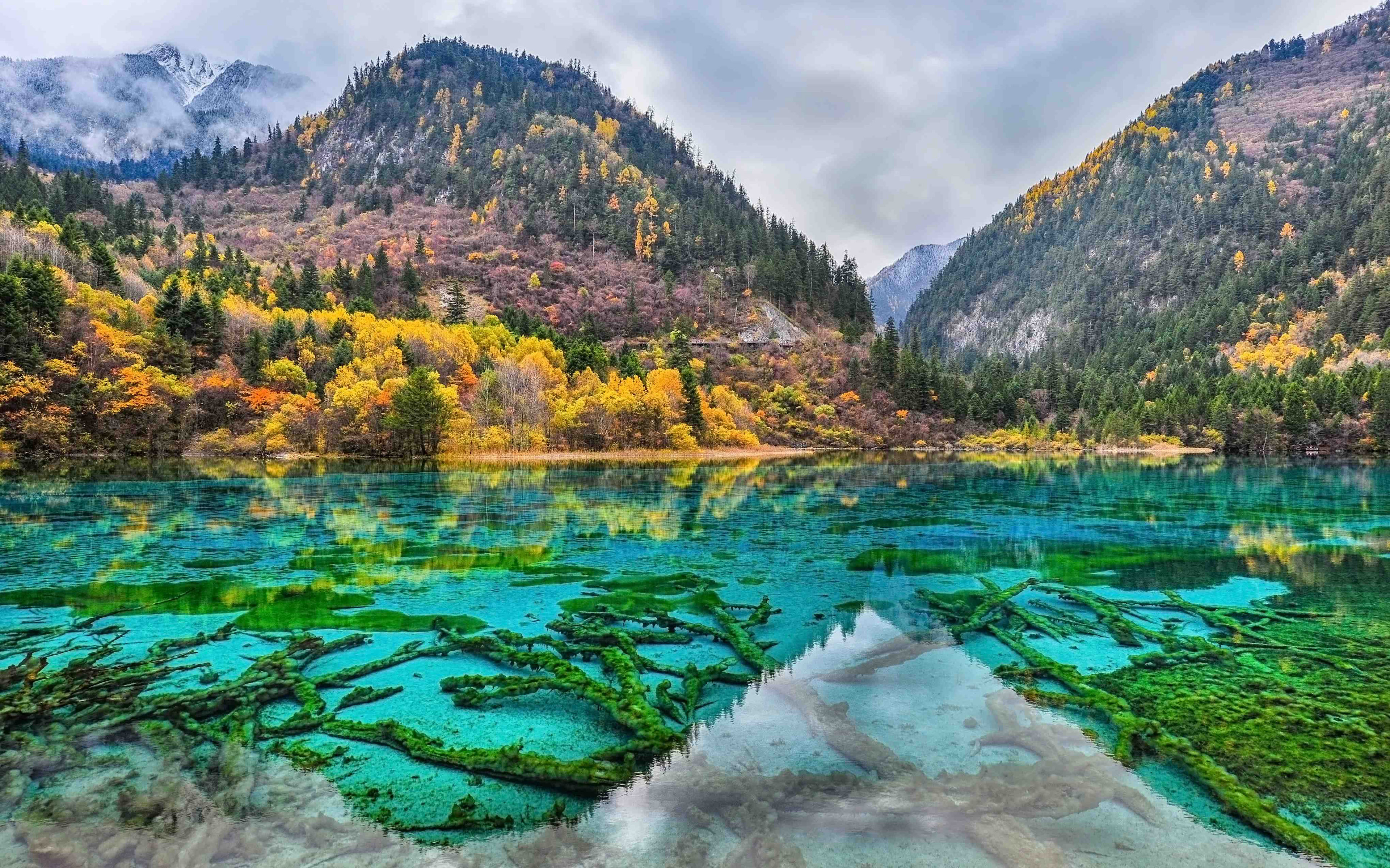 Jiuzhaigou Park China Five Flower Lake Unesco World Heritage Site Landscape Wallpaper HD 3840x2400, Wallpaper13.com
