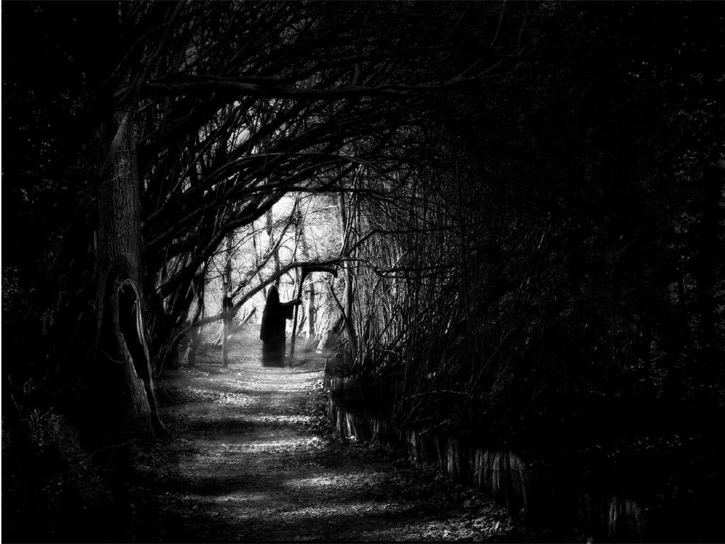 Forest Picture and Wallpaper Items. Dark forest, Dark wallpaper, Fear of the dark