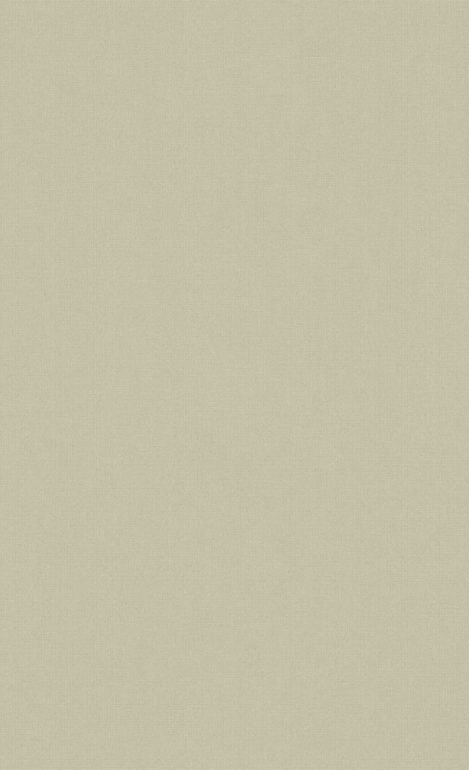 Minimalist Smoke Gray Wallpaper C7289. Commercial and Hospitality