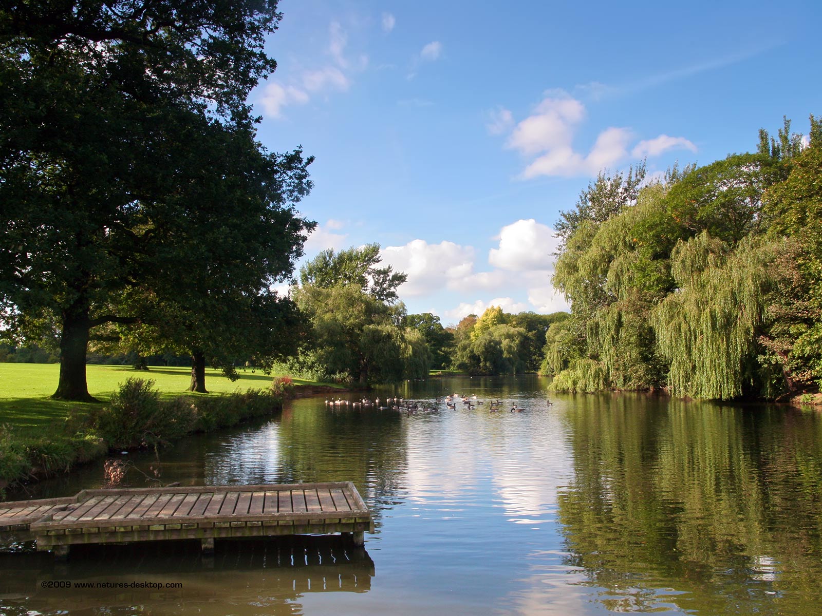 Summer Lake Wallpaper