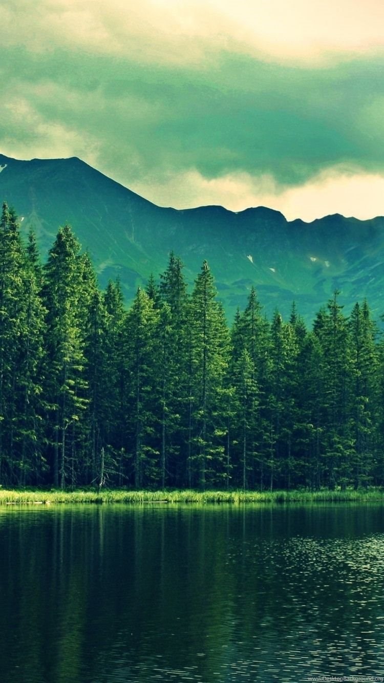 Download Wallpaper 750x1334 Mountains, Summer, Lake, Trees, Forest. Desktop Background