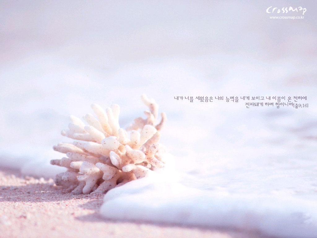 Free download Bible Verse Desktop Wallpaper [1024x768] for your Desktop, Mobile & Tablet. Explore Scripture Desktop Background. Bible Verse Wallpaper, Christian Wallpaper With Bible Verses, Christian Wallpaper