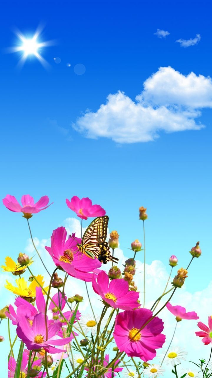 Download Wallpaper Flowers, Sky, Butterflies, Balloons Flowers Wallpaper Download For Android HD Wallpaper