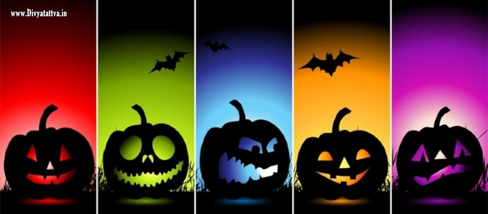 Happy Halloween HD Wallpaper and Background Image Free Download