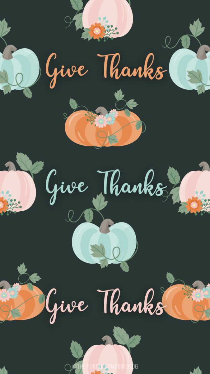 Thanksgiving Cute iPhone Wallpapers  Wallpaper Cave