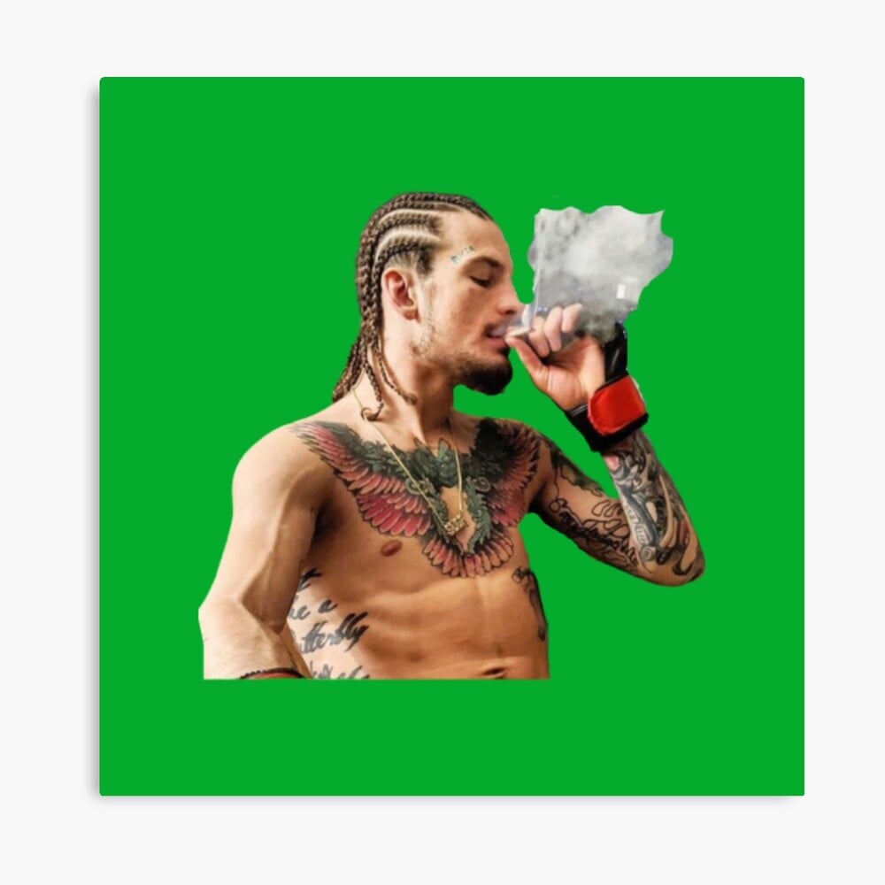 Sean O'Malley Smoking Weed Art Board Print