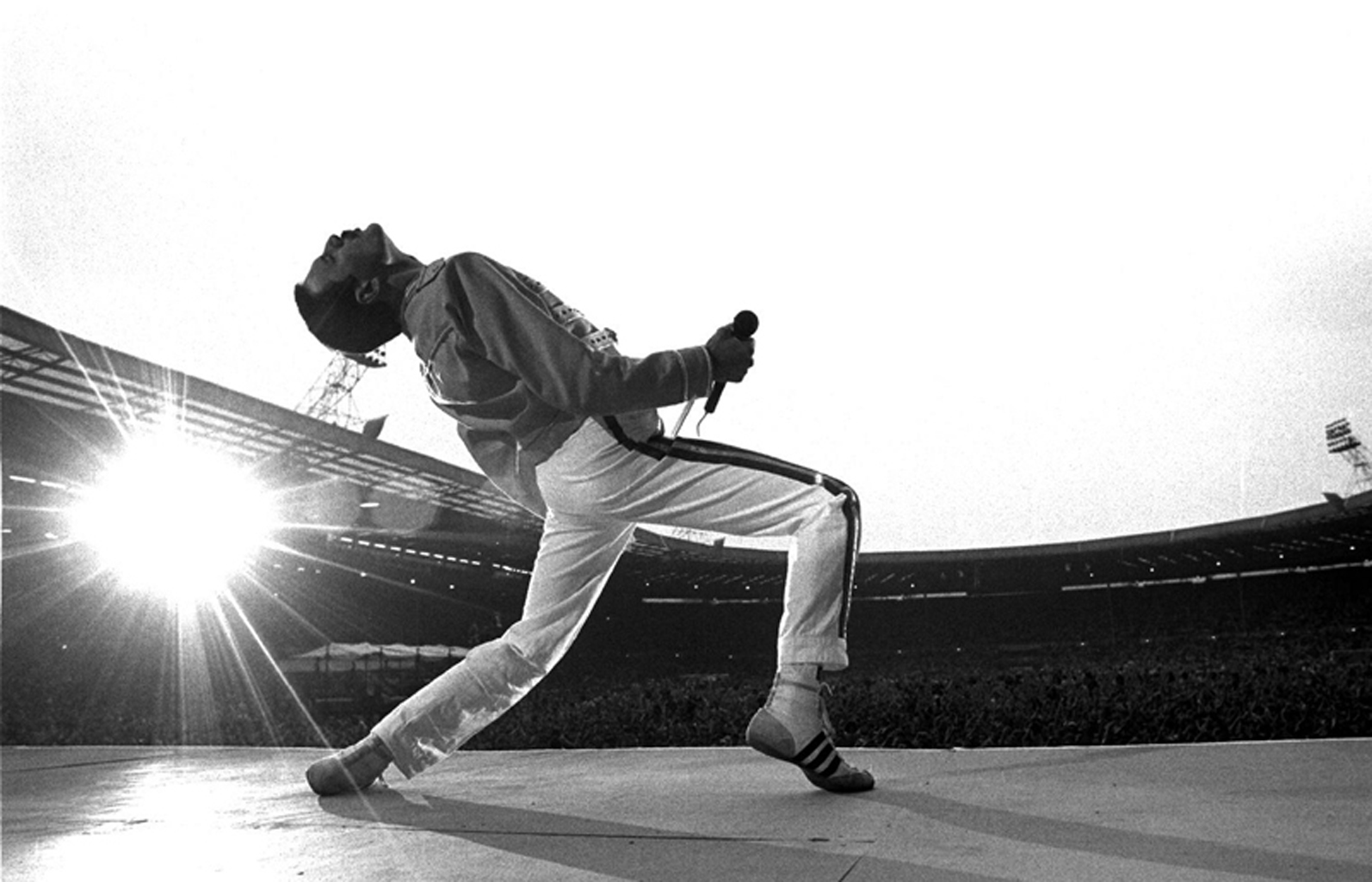 Freddie Mercury Wallpaper Download