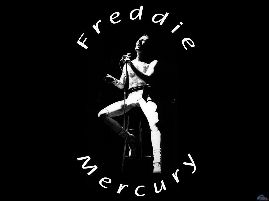 Freddie Mercury Queen Wallpapers Wallpaper Cave