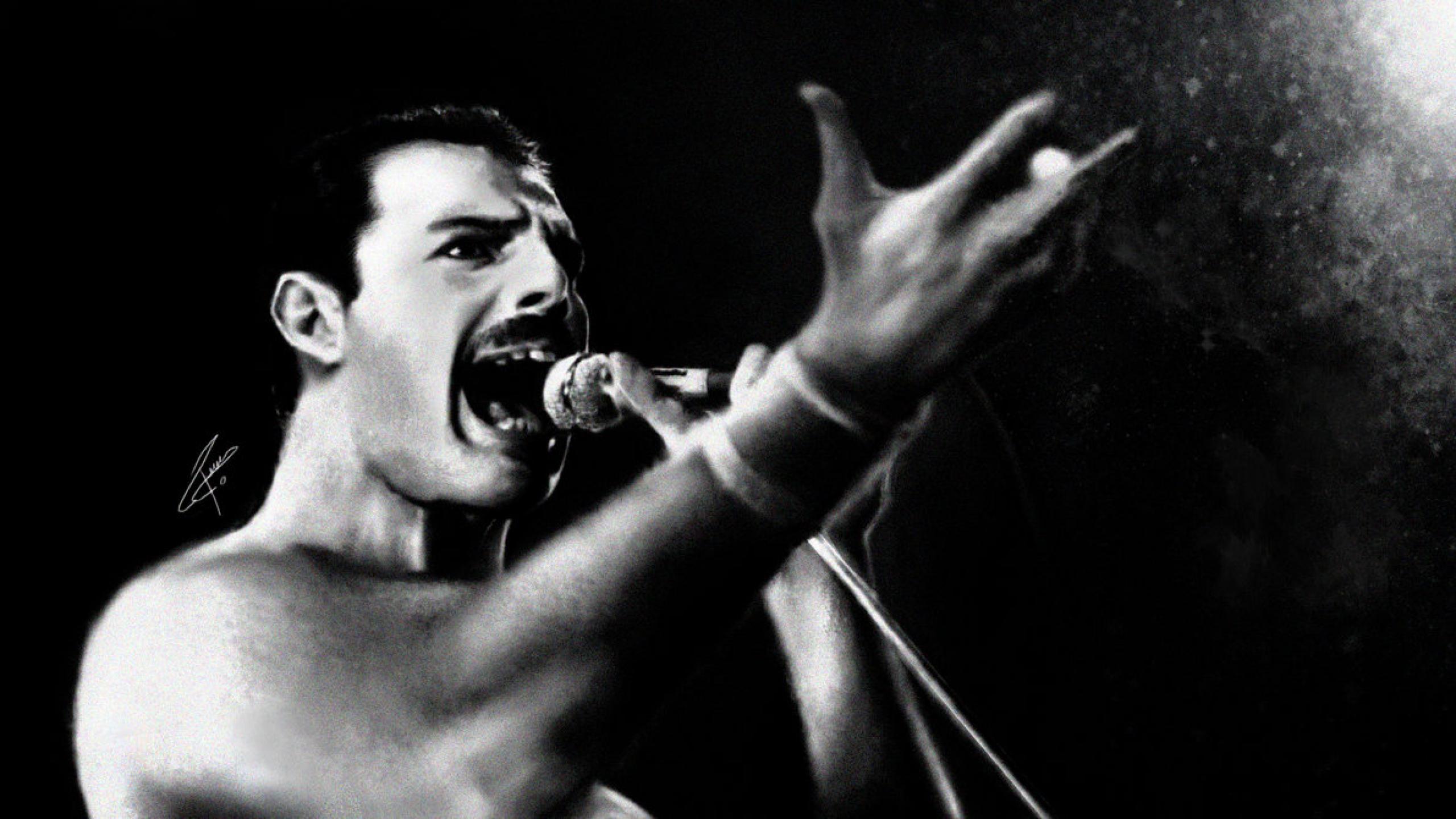 Freddie Mercury Band Queen 2560x1440 Wallpaper