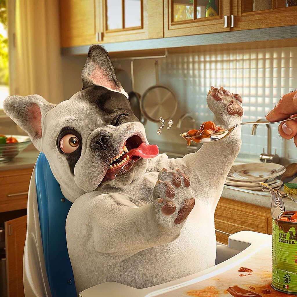 photo wallpaper. Cool pets, Things dogs cant eat, Dogs