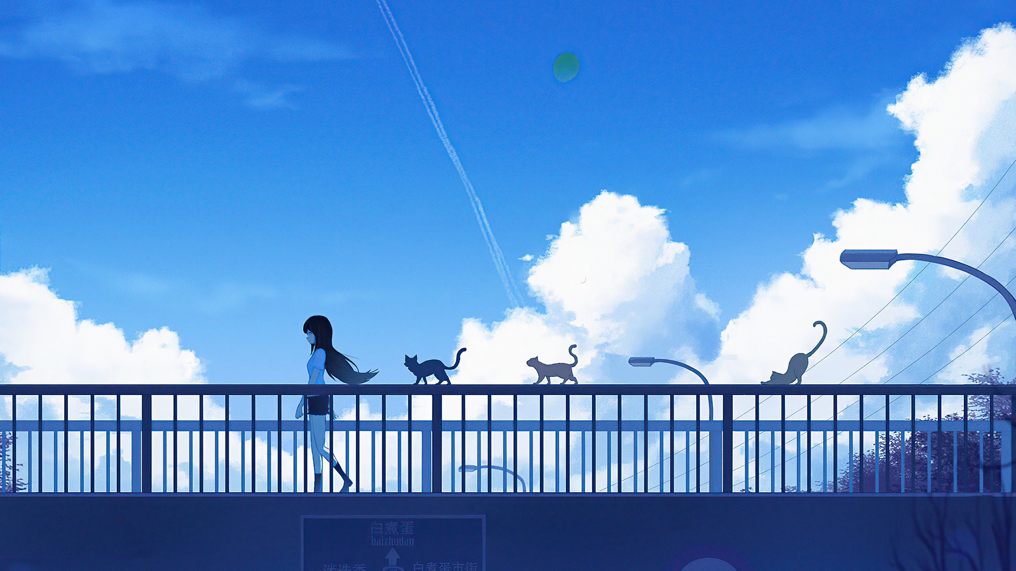 Anime Blu-ray Disc A bridge over the starry sky 1 | Video software |  Suruga-ya.com