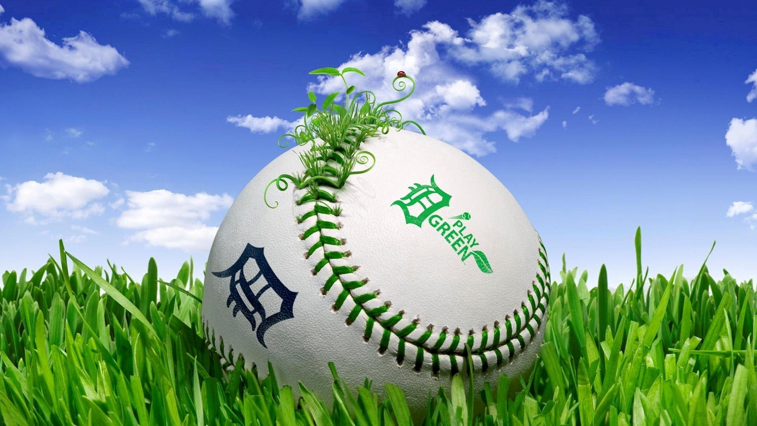 Dodgers ball in the green grass