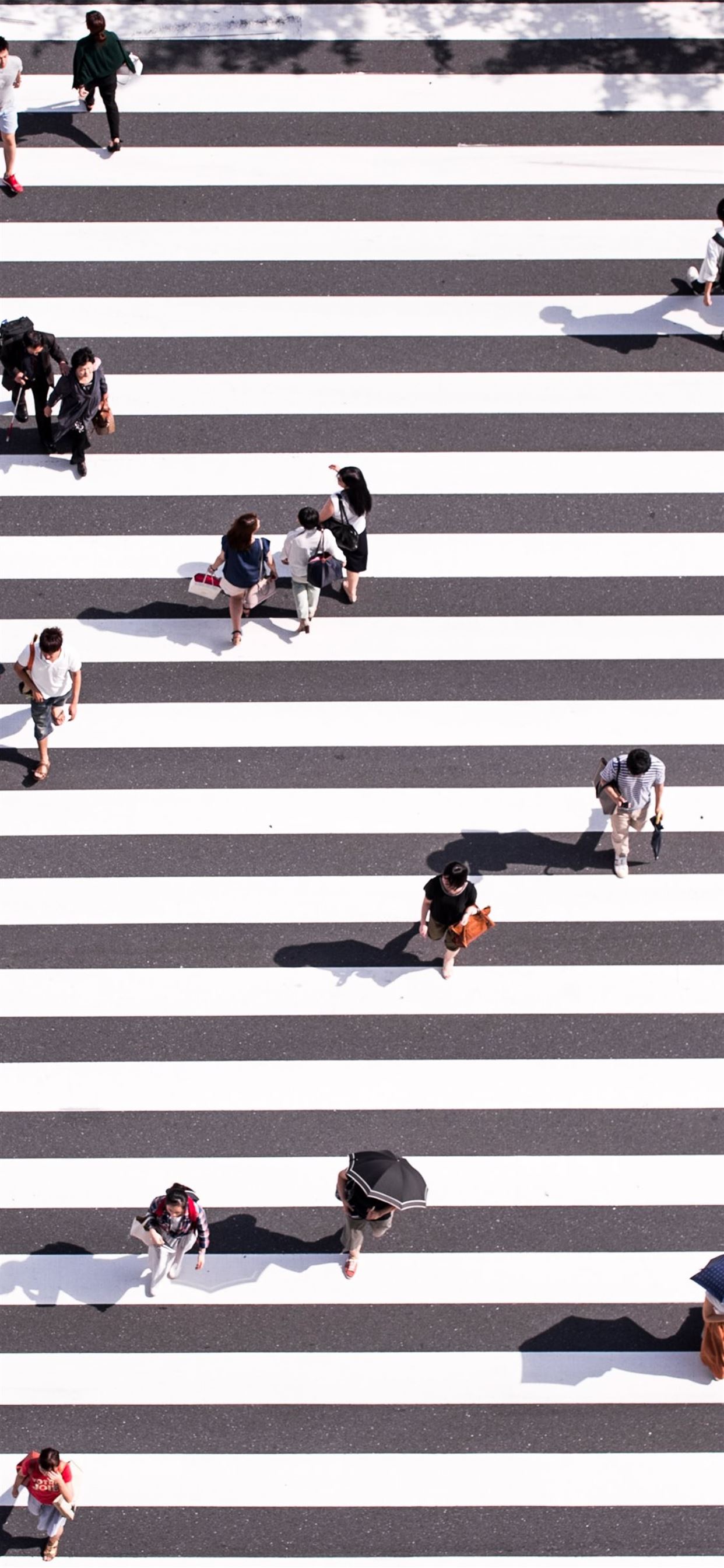 aerial view photography of group of people walking. iPhone 11 Wallpaper Free Download