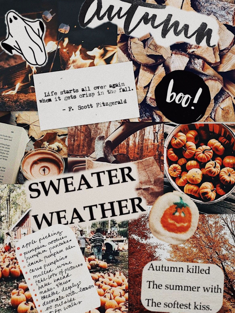 Free download Fall Collage Wallpaper Top Fall Collage Background [1170x1703] for your Desktop, Mobile & Tablet. Explore Aesthetic Collage Wallpaper. Collage Background, Hypebeast Collage Wallpaper, Aesthetic Wallpaper