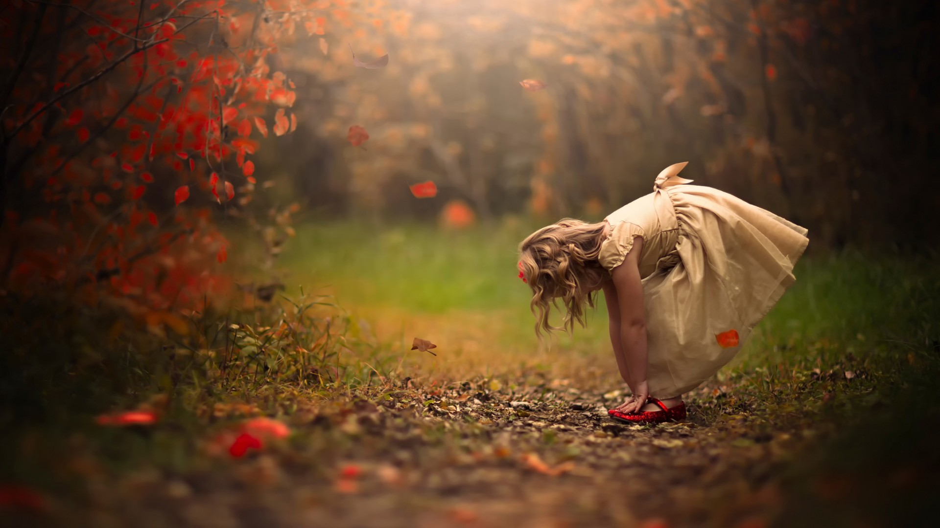 Wallpaper, sunlight, forest, fall, blonde, depth of field, children, nature, morning, emotion, red shoes, little girl, Jake Olson, tree, autumn, leaf, flower, season, darkness, computer wallpaper 1920x1080