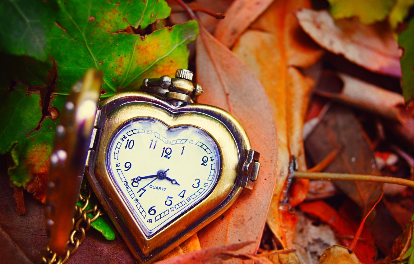Wallpaper autumn, leaves, arrows, heart, watch, love, dial, heart, autumn, leaves, hands, clock, dial image for desktop, section разное