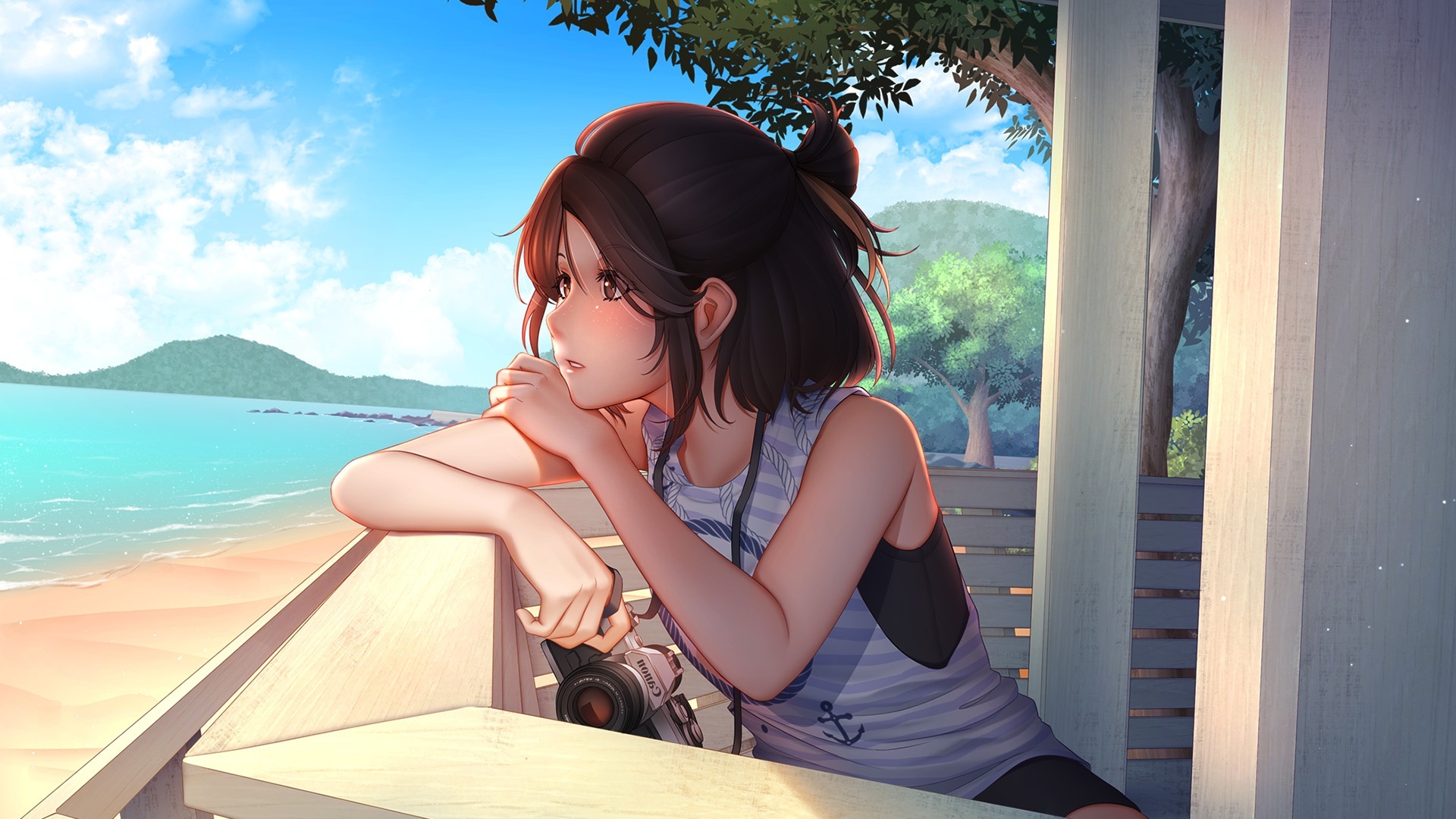 Wallpaper Looking Away, Profile View, Anime Girl, Beach, Cannon, Summer, Semi Realistic, Sky:1920x1080