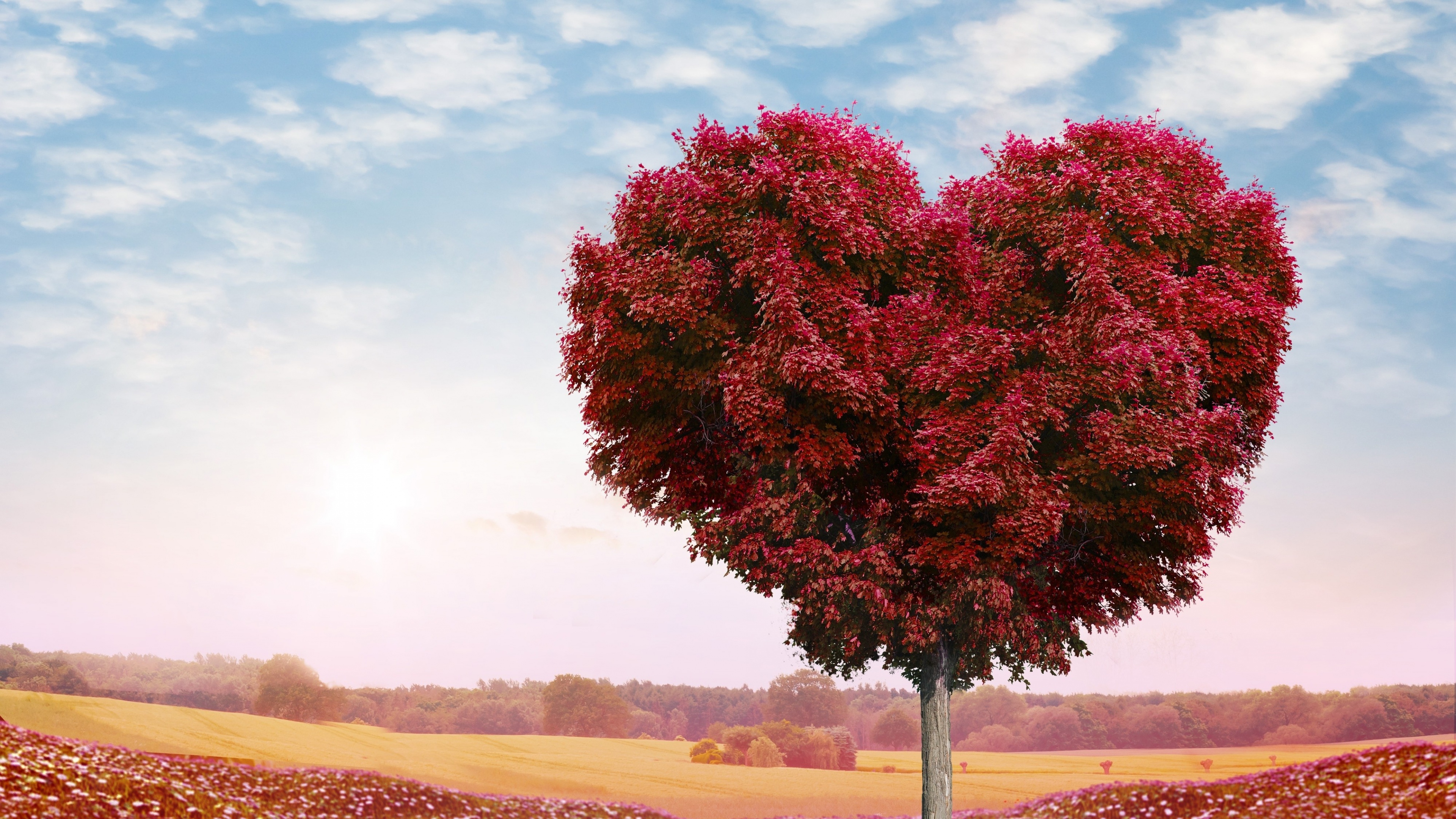 Tree Heart, HD Love, 4k Wallpaper, Image, Background, Photo and Picture