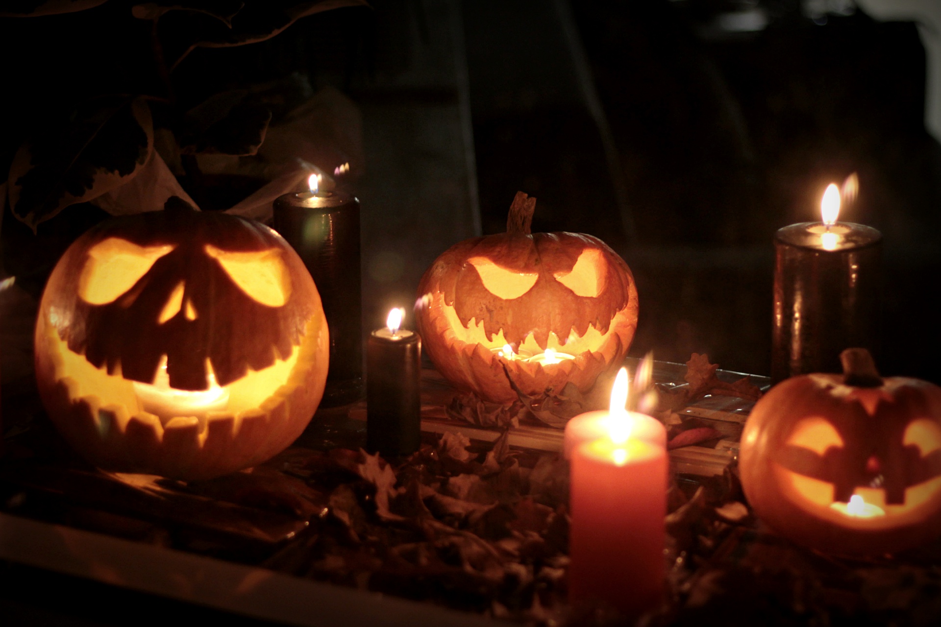 Halloween, Candle, Jack O Lantern Wallpaper