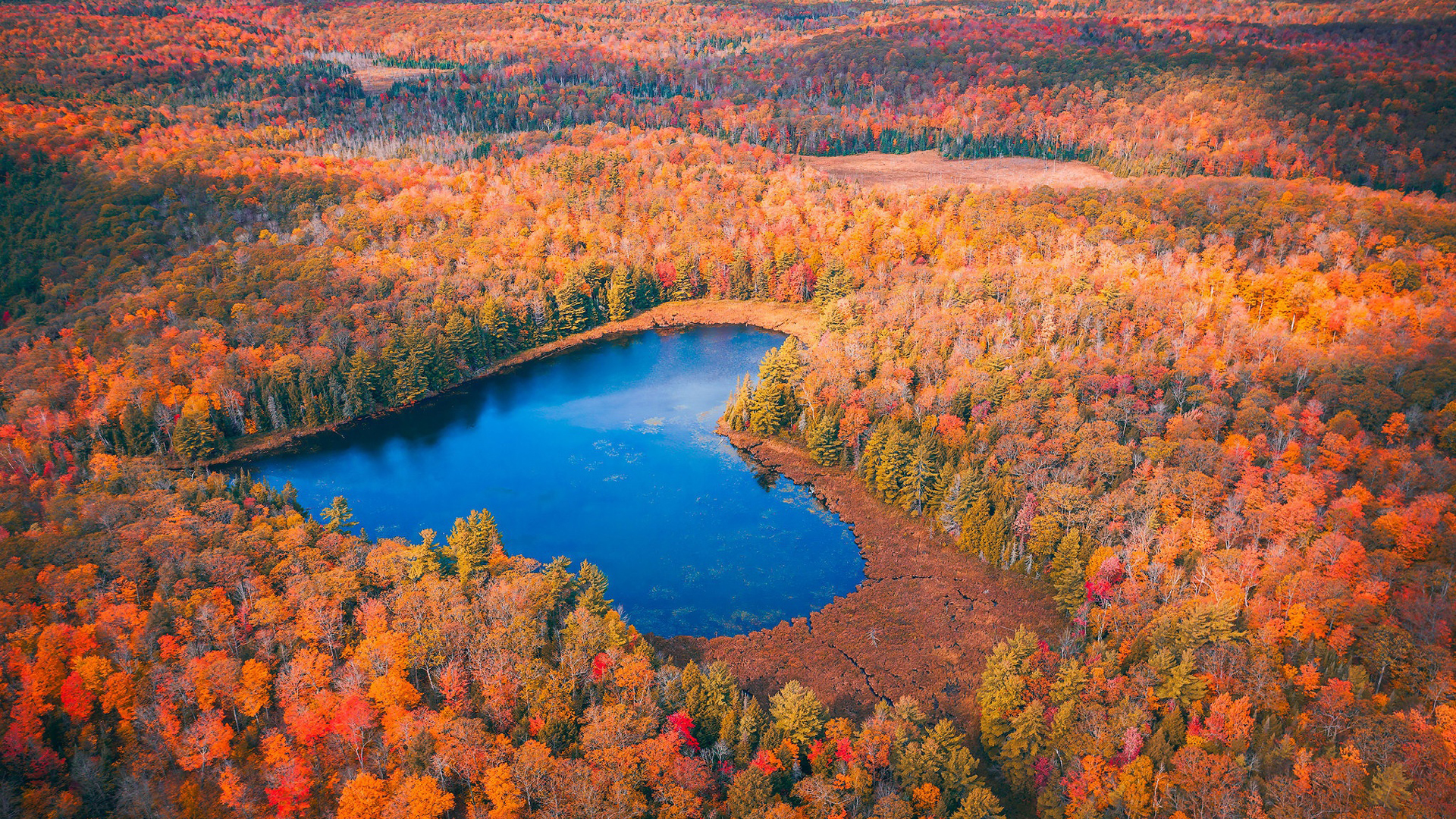 Aerial View Of Fall Forest Heart Shaped Lake HD Nature Wallpaper