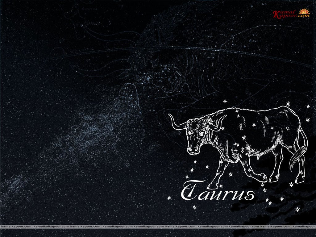 Taurus Wallpaper Desktop