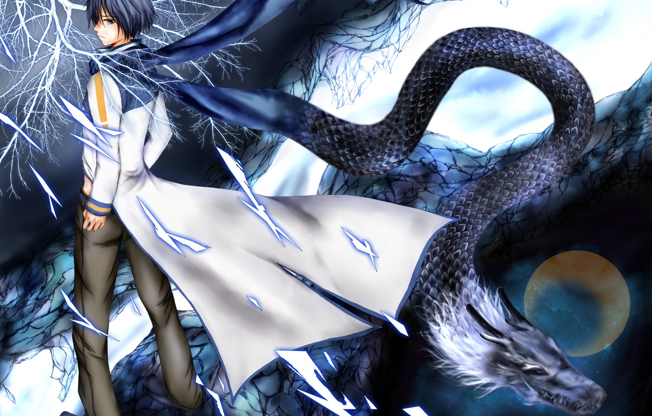 Wallpaper the sky, stars, branch, the moon, dragon, art, guy, Vocaloid, Vocaloid, Kaito image for desktop, section сёнэн