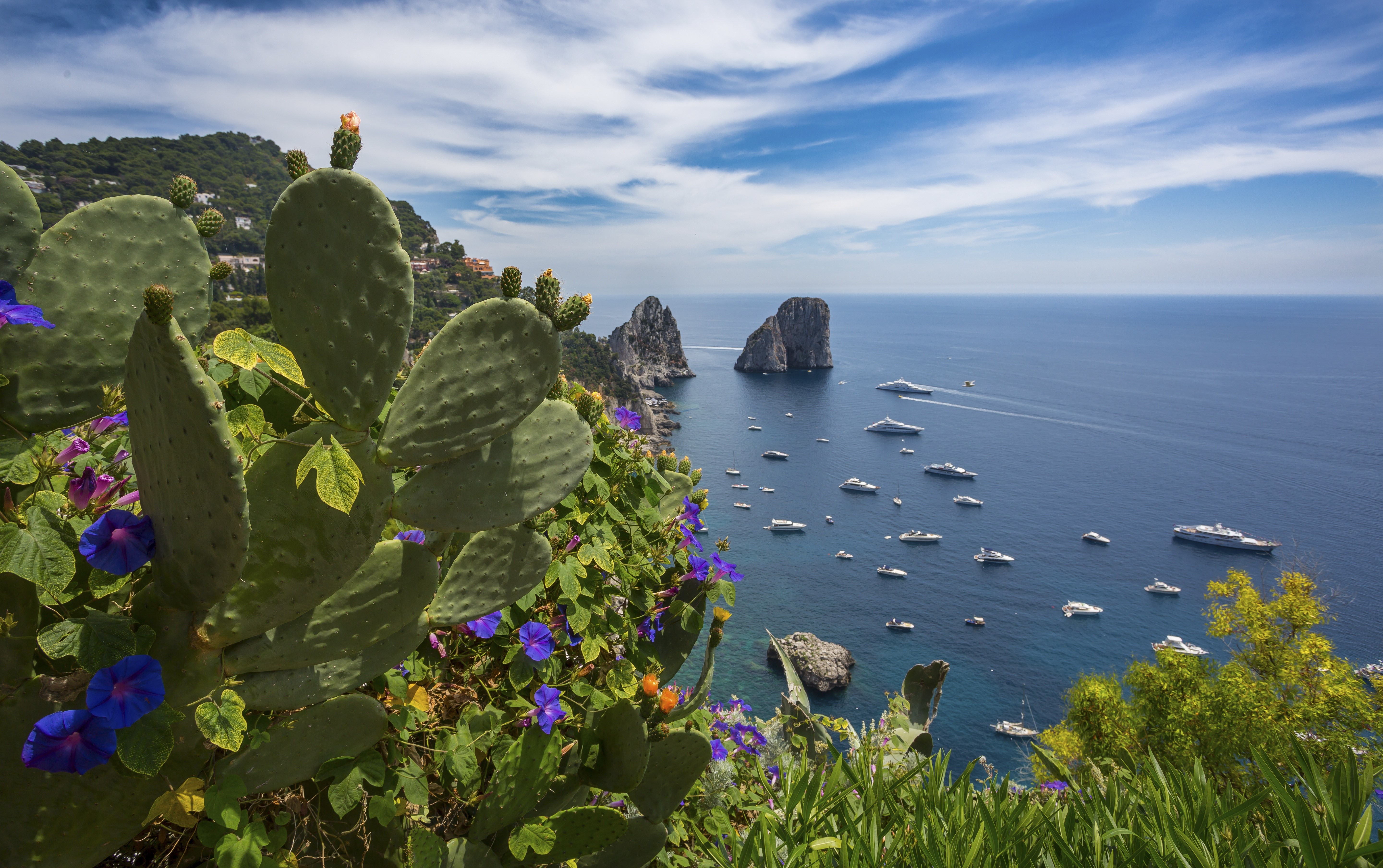 4K, 5K, Capri, Italy, Sea, Crag. Mocah HD Wallpaper
