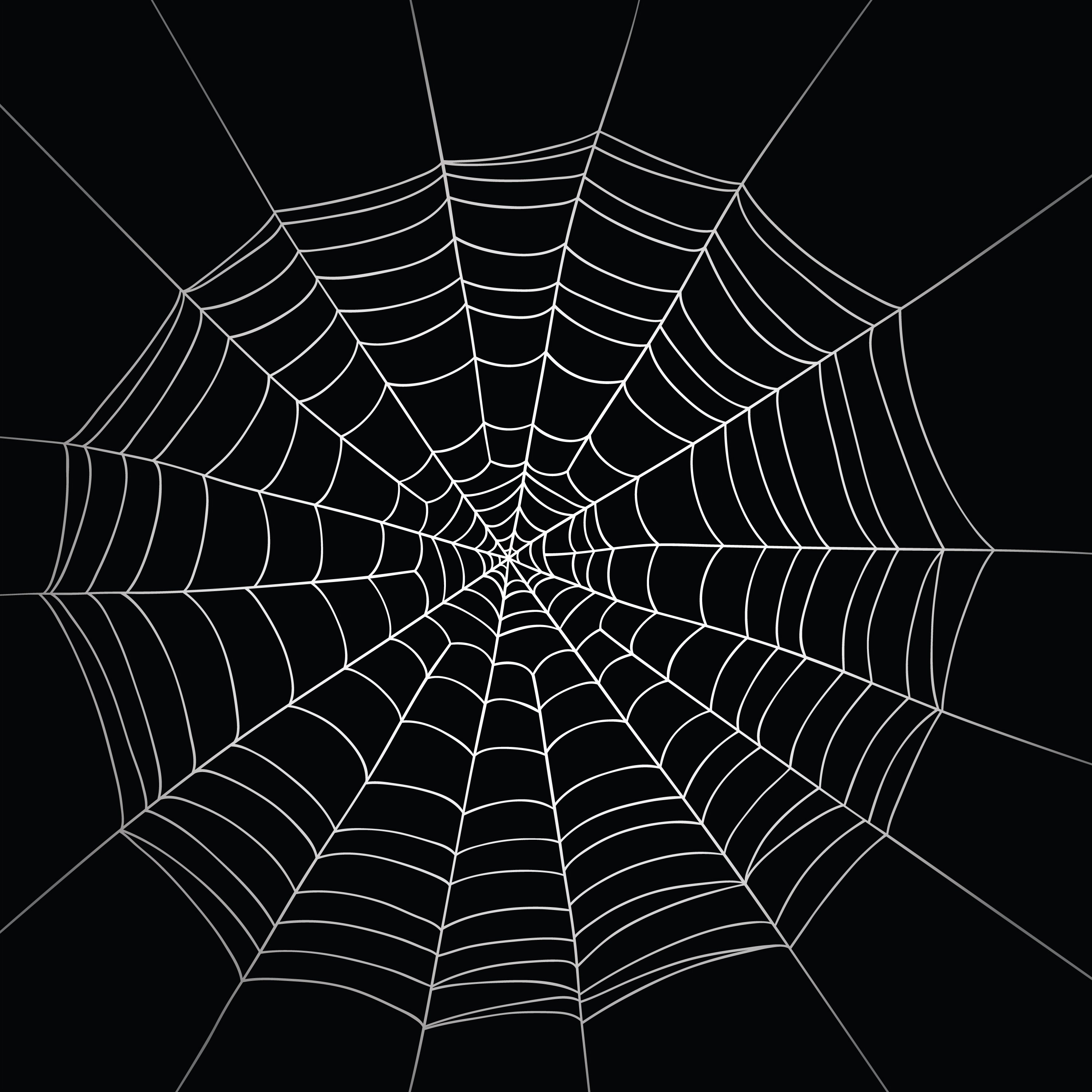 Spider Net Wallpapers - Wallpaper Cave