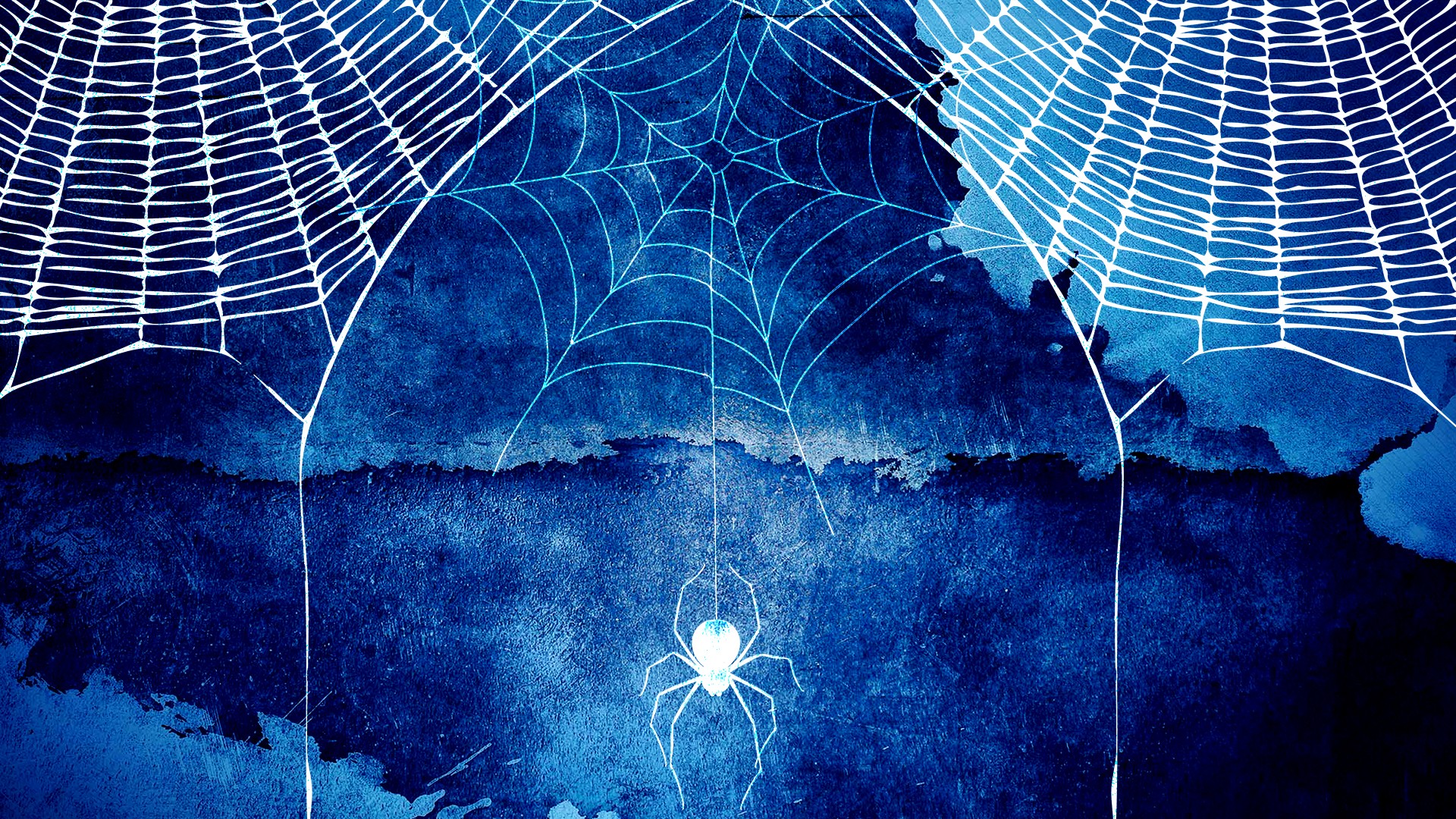 Halloween Spider Web HD Background Wallpaper Blue Watercolor HD Background