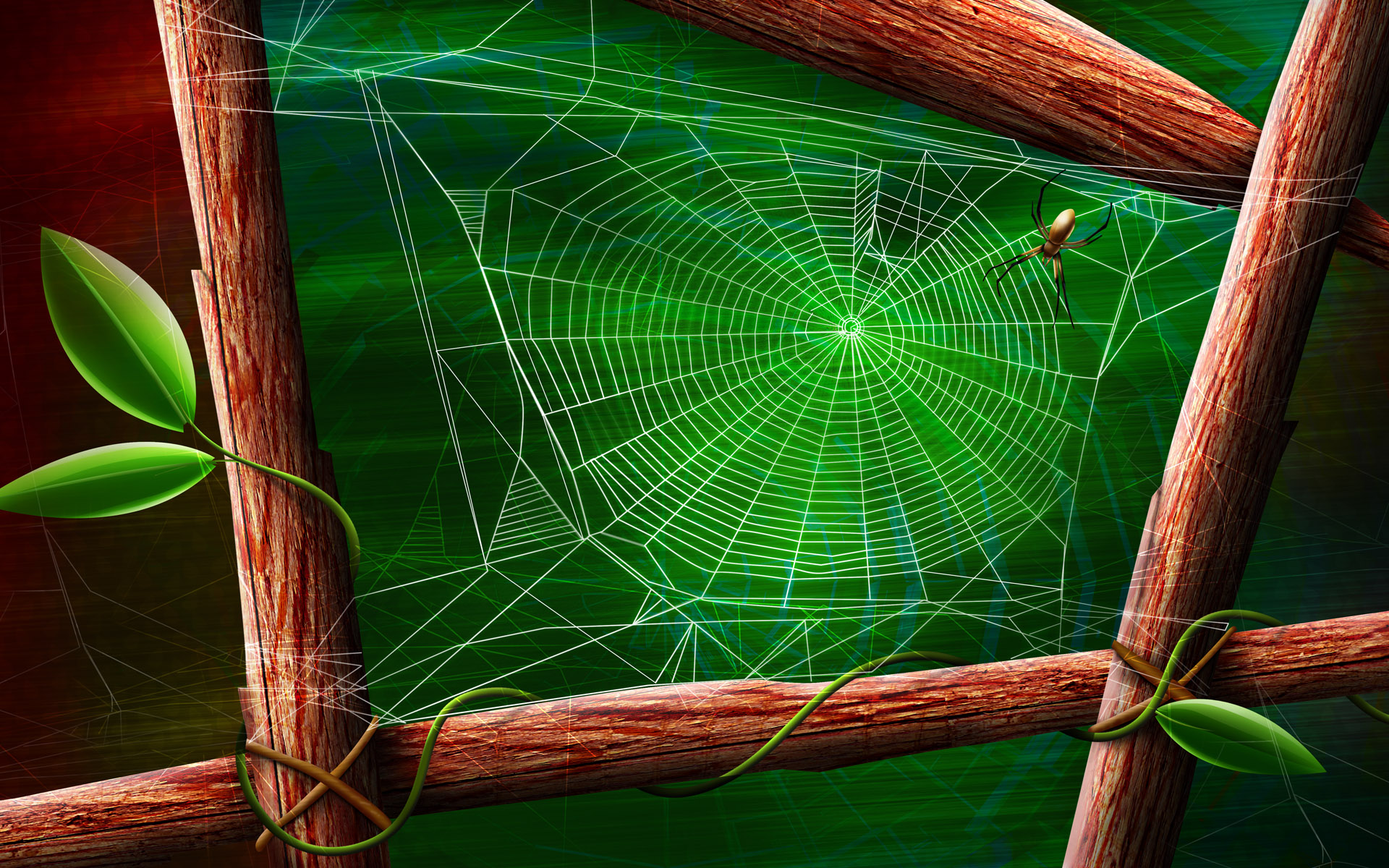 Spider Net Wallpapers - Wallpaper Cave