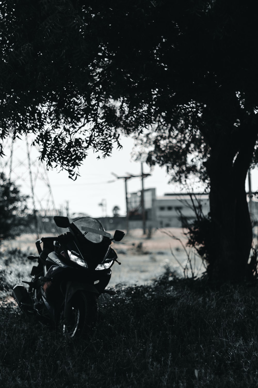 black motorcycle parked near tree during daytime photo