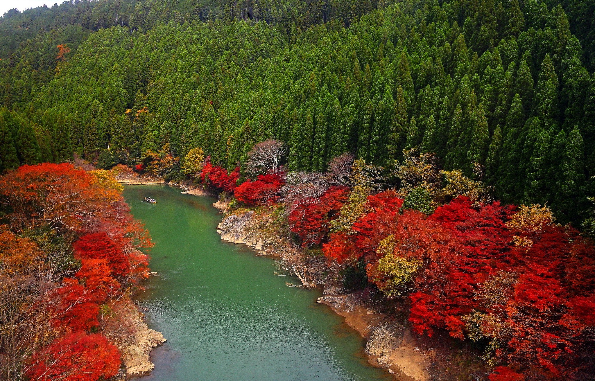 Autumn Trees in Kyoto, Japan HD Wallpaper