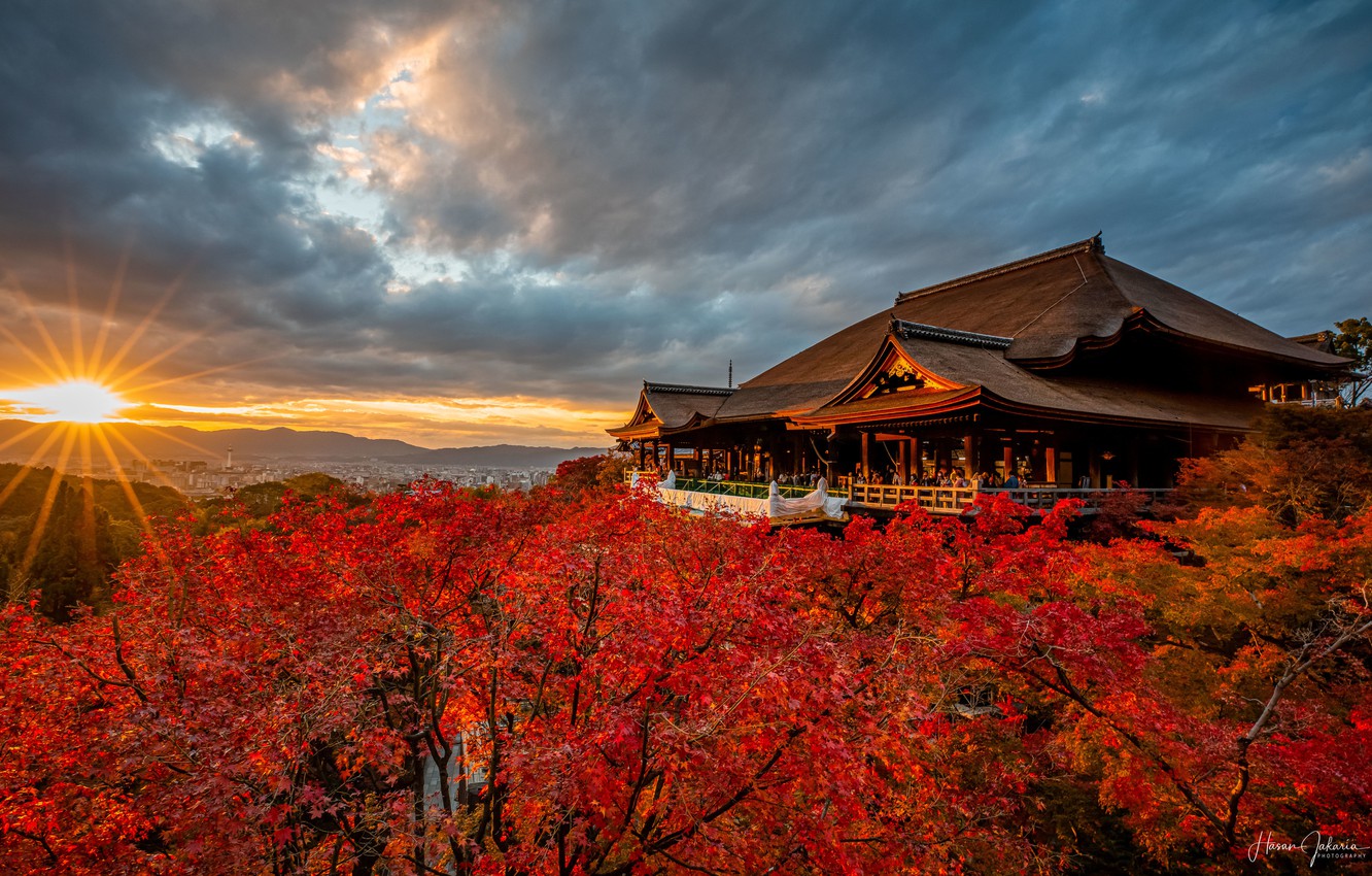 Wallpaper Japan, Japan, Kyoto, Kiyomizu Dera Temple, Autumn Trees Image For Desktop, Section пейзажи