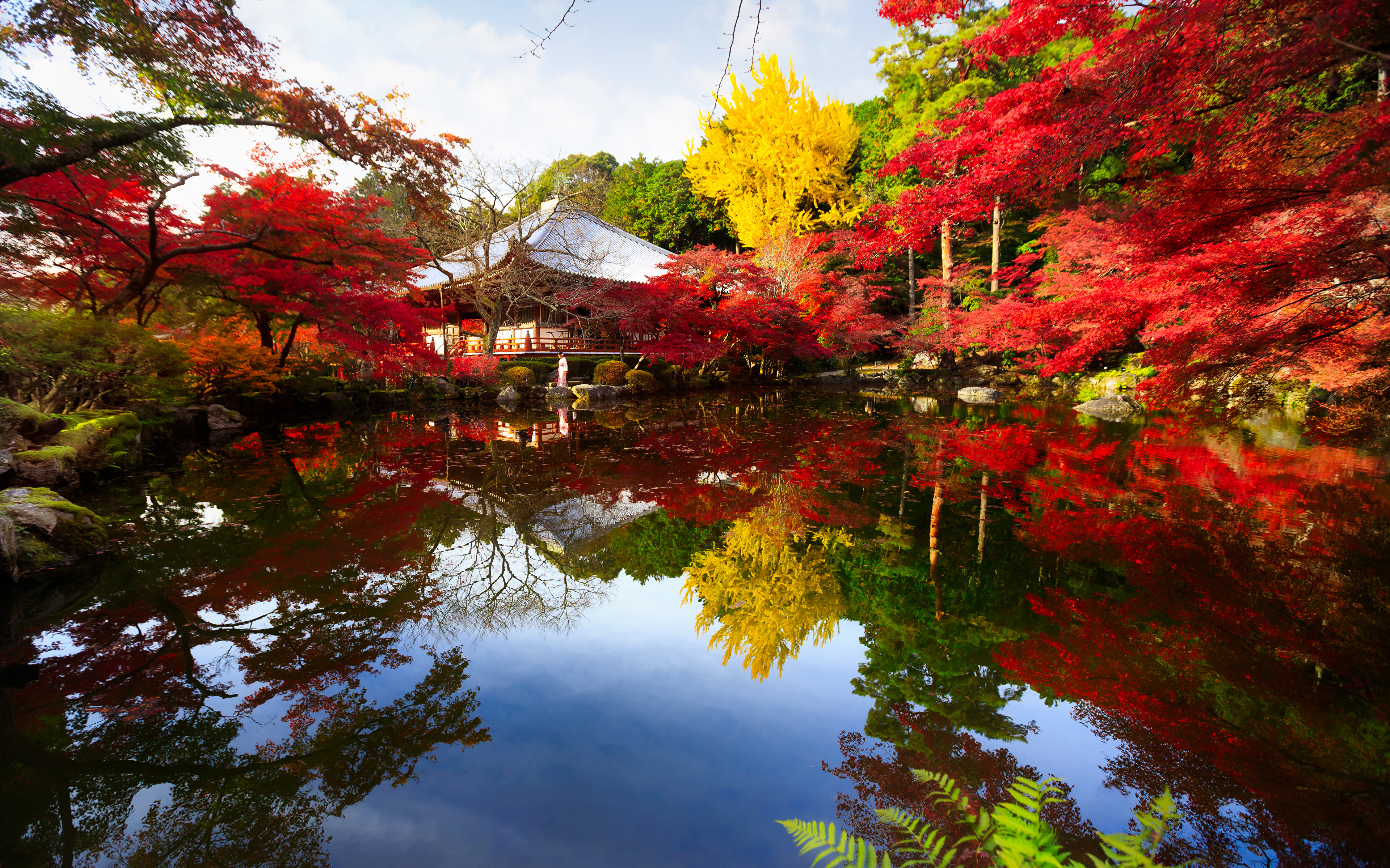 Wallpaper Kyoto Japan Autumn Nature Pond park Trees 3840x2400