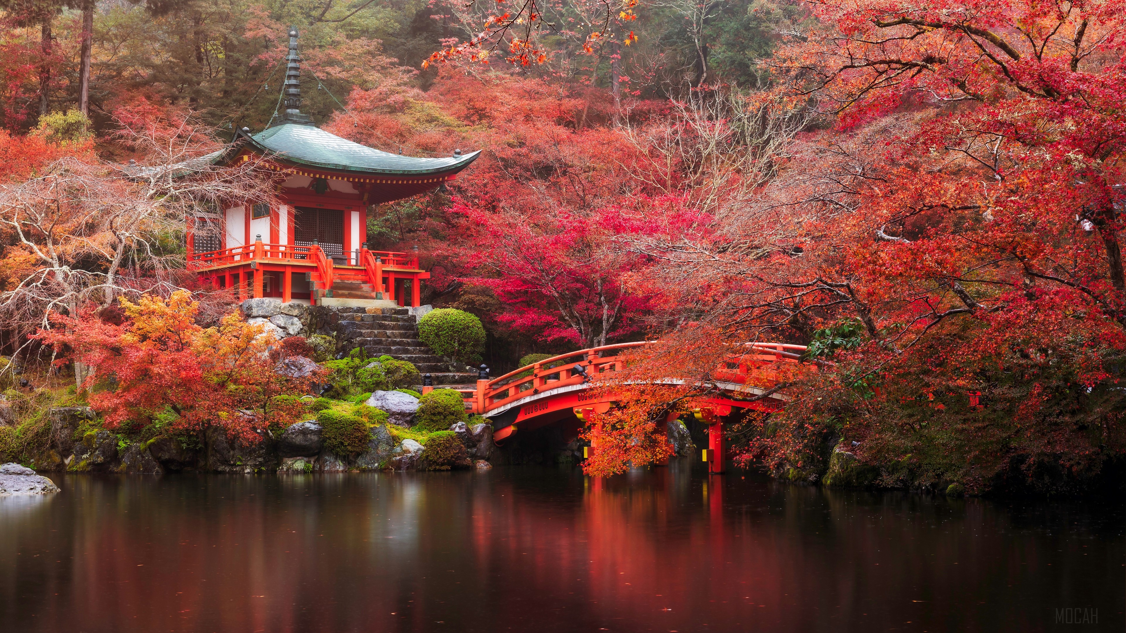Bridge, Fall, Japan, Kyoto, Nature, Pagoda, Park, Pond, Tree 4k wallpaper. Mocah HD Wallpaper