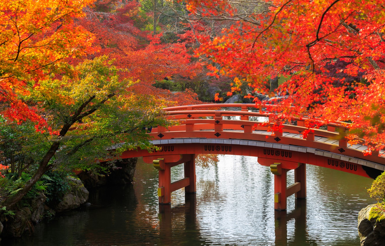 Wallpaper autumn, trees, bridge, pond, Park, stones, Japan, Kyoto image for desktop, section природа