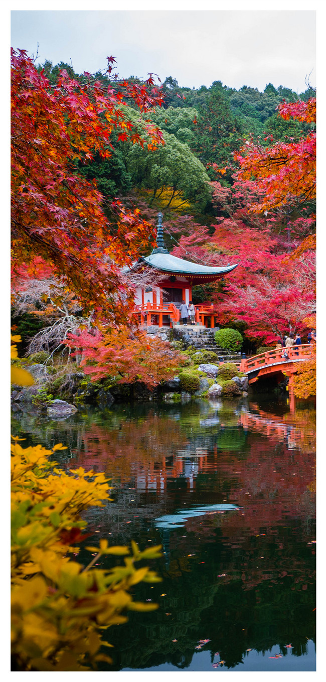Autumn Mobile Phone Wallpaper In Kyoto Background Image Free Download 400671487 Lovepik.com