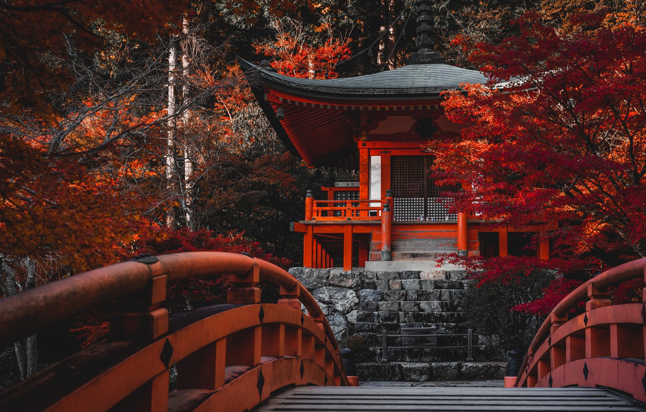 Wallpaper Autumn, Trees, Bridge, Japan, Temple, Japan, Kyoto, Kyoto, Bentendo Hall, The Temple Daigo JI Temple, Daigo Ji Temple, Bentendo Hall Image For Desktop, Section пейзажи