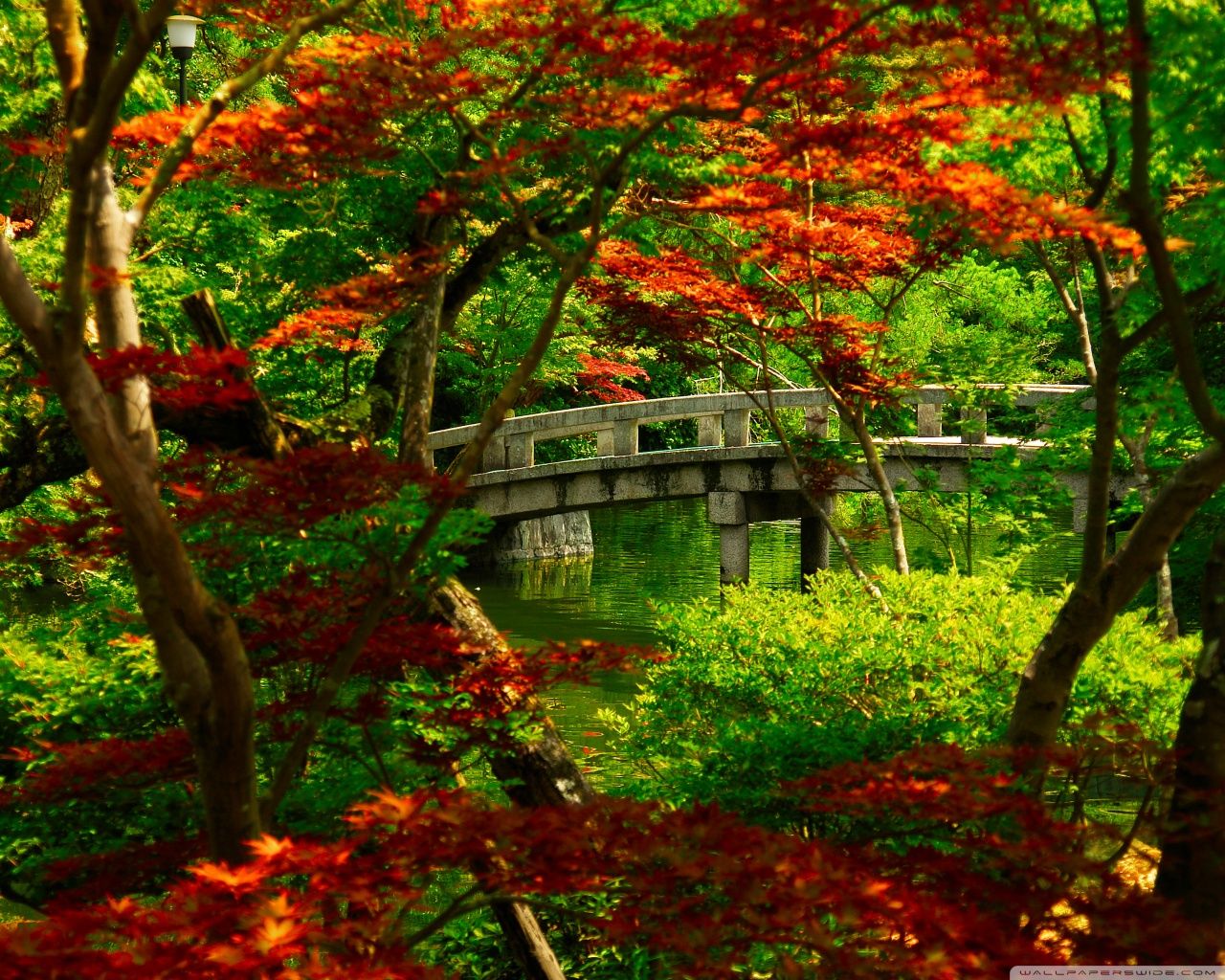 japanese garden kyoto wallpaper. Gardens of the world, Japanese garden, Landscape