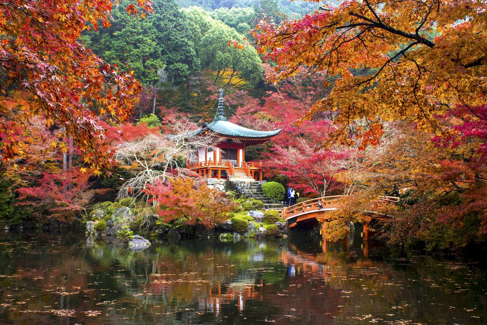 Temples and Shrines for Koyo & Momiji in Kyoto