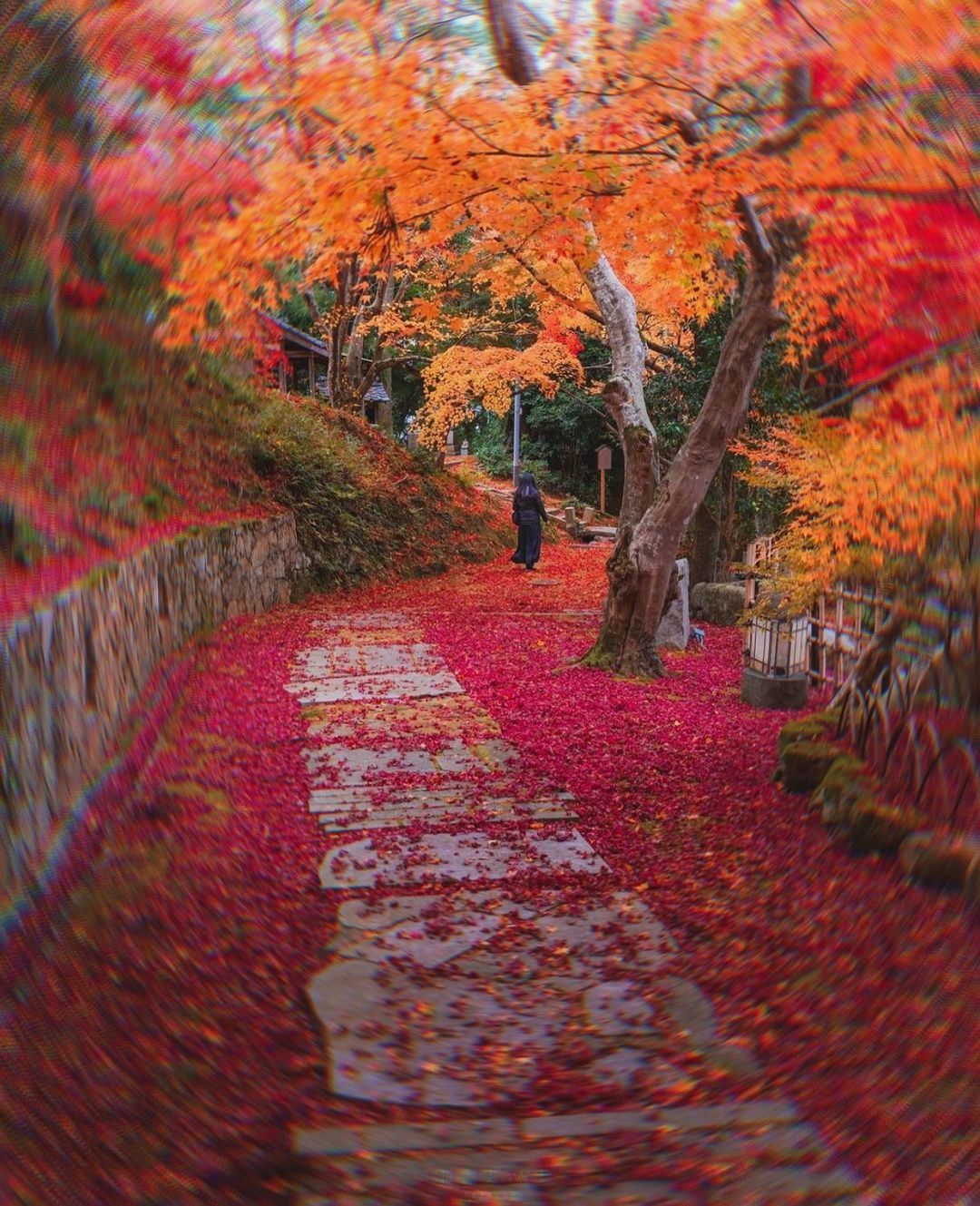 Kyoto, Japan Wallpaper. Cool landscapes, Wallpaper, Aesthetic wallpaper