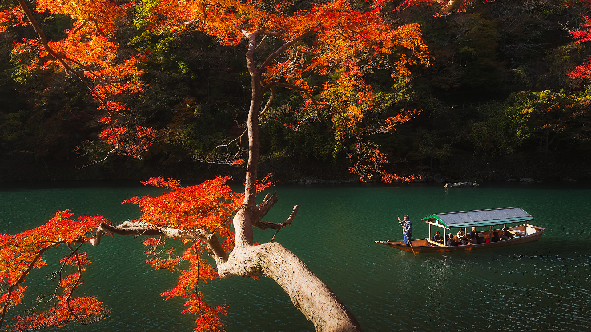 Picture Kyoto Japan Autumn Nature Parks Forests river 1920x1080