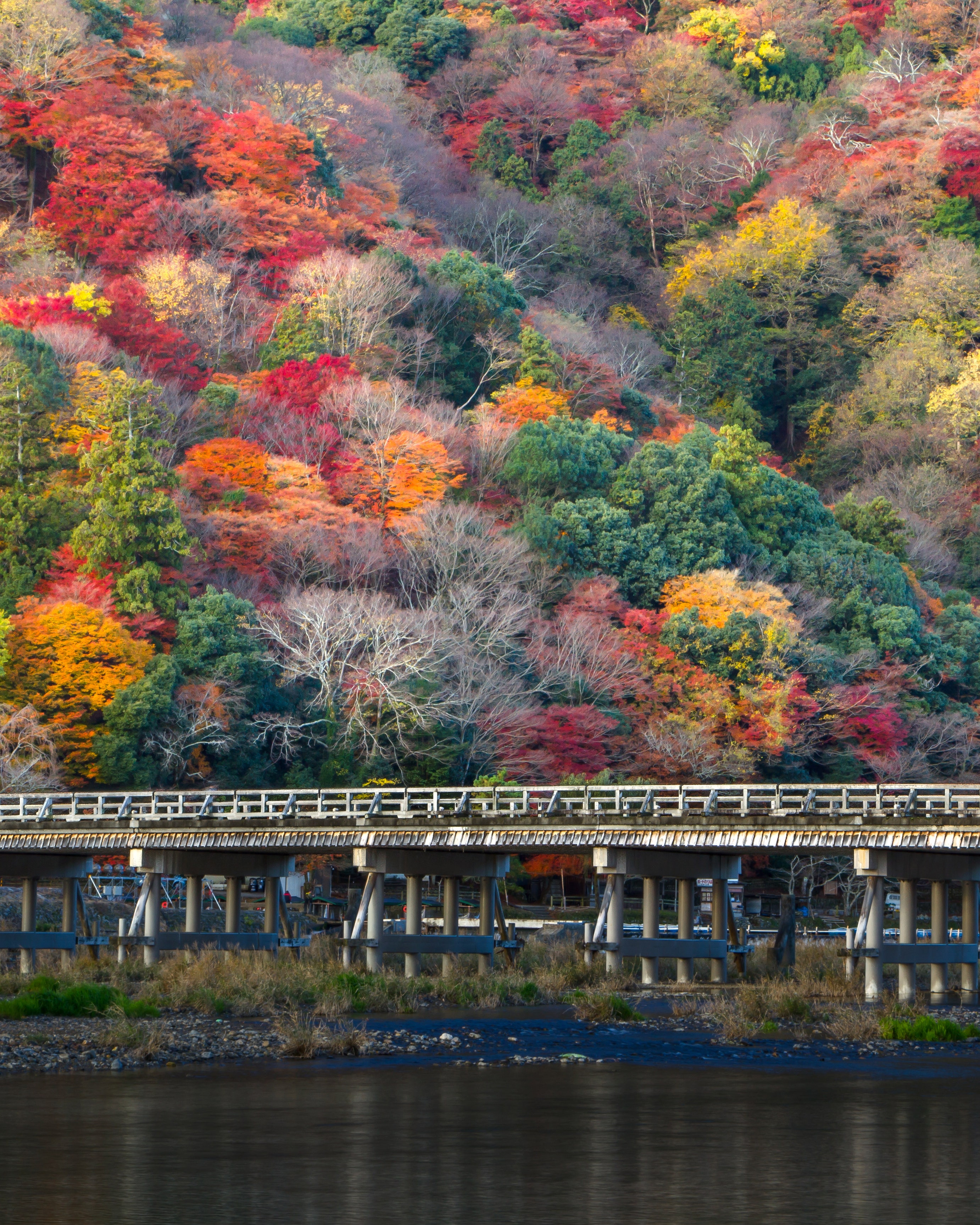 Photo That Will Make You Want to Visit Kyoto. Condé Nast Traveler