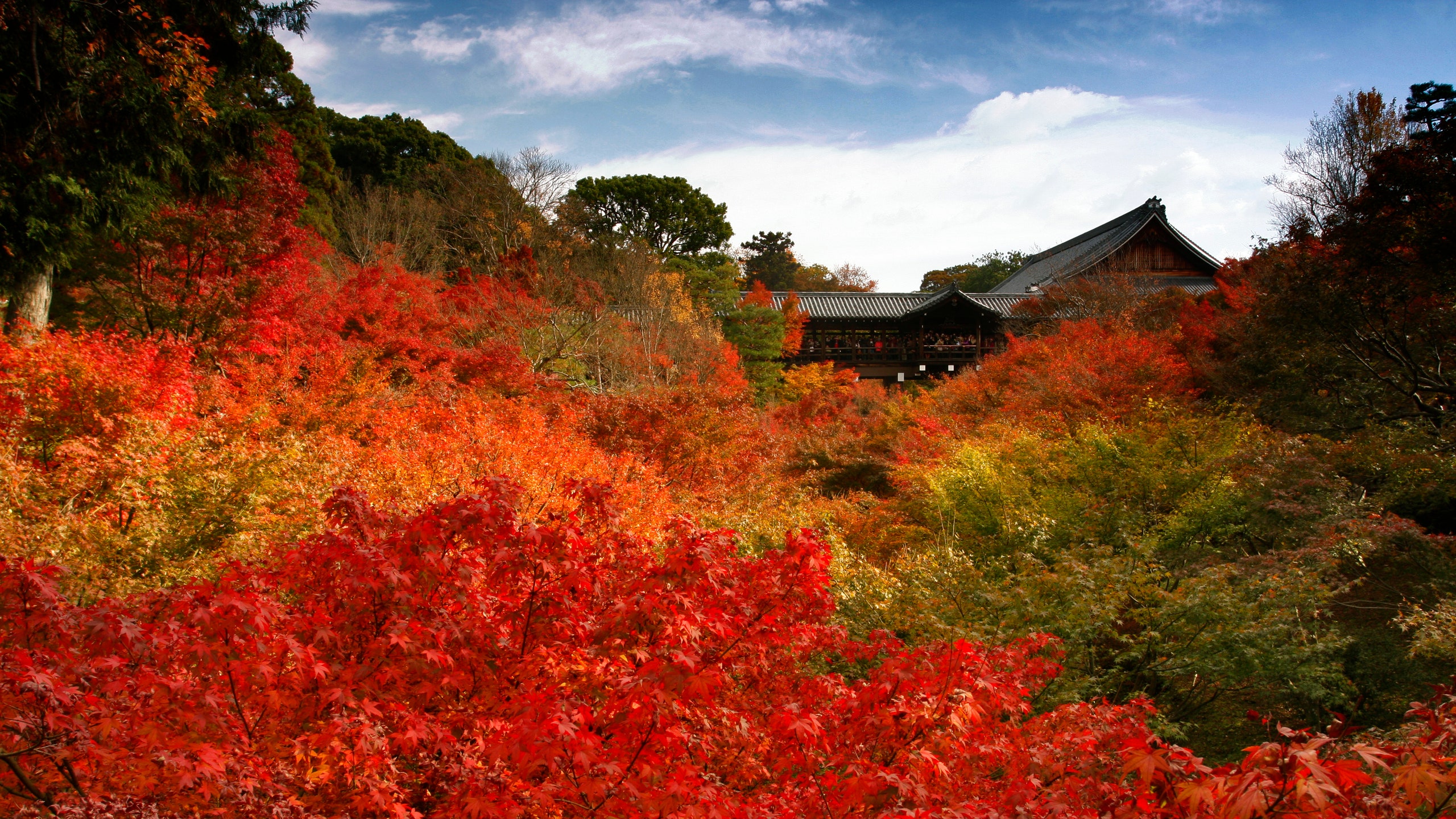Kyoto's Tofukuji Temple Bans Photography During Peak Foliage Season. Condé Nast Traveler