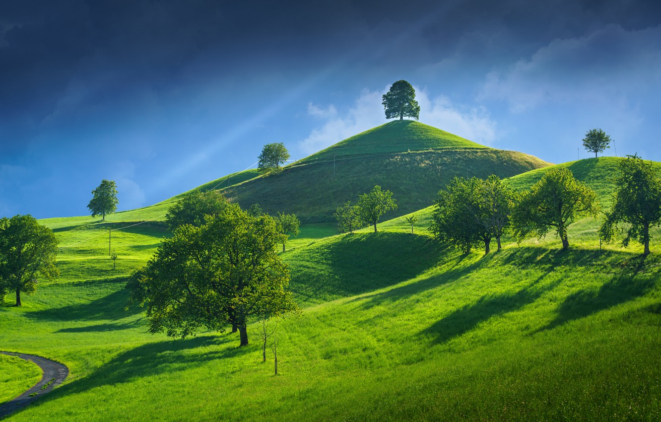 Wallpaper trees, hills, Switzerland, Canton of Zug image for desktop, section пейзажи