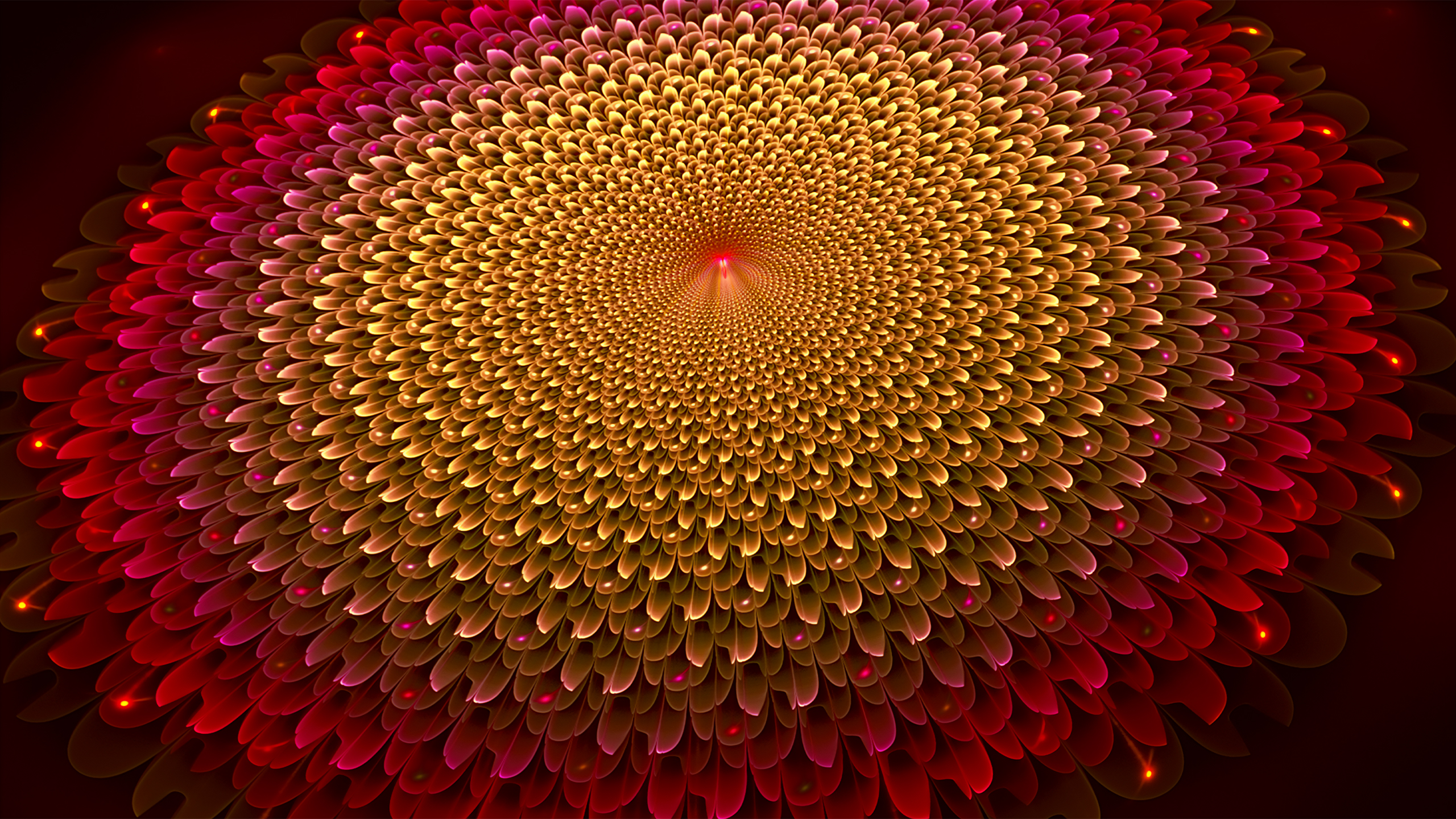 Purple White Fractal Flower Art Abstraction HD Abstract Wallpaper. HD Wallpaper. Ultra HD 4K Wallpaper for Desktop & Mobiles