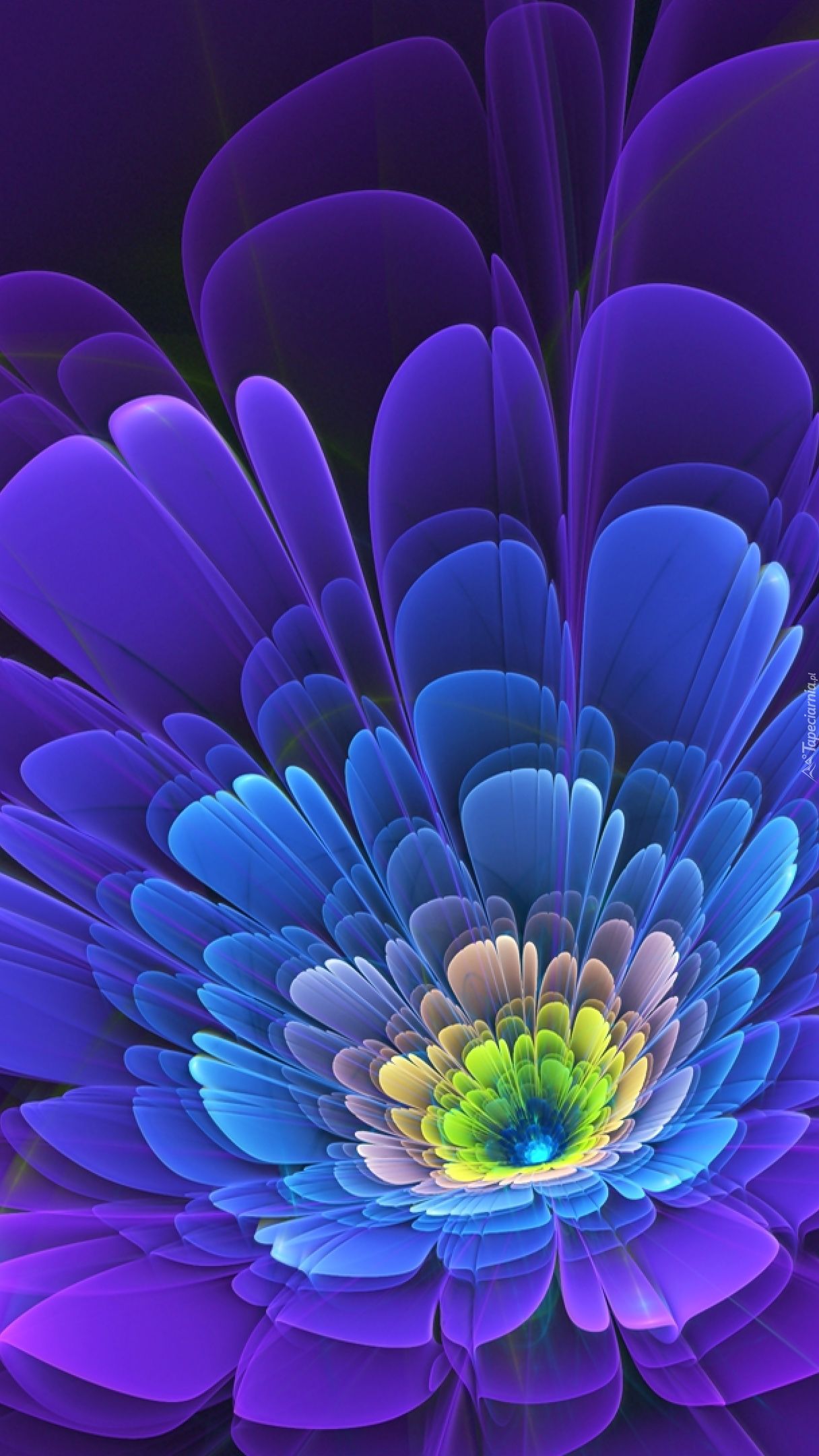 beautiful picture. fractal flower. Glowing flowers, Neon flowers, Flower picture